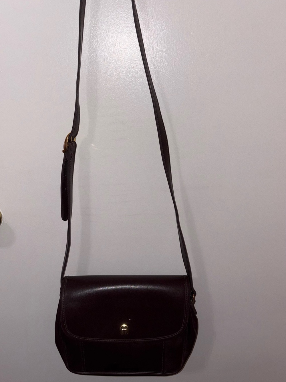 Aigner Crossbody Bag in oxblood